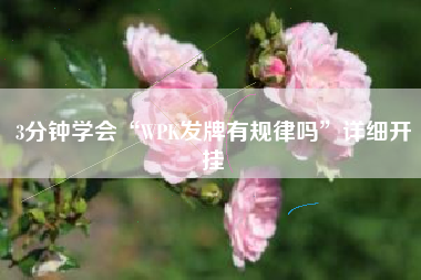 3分钟学会“WPK发牌有规律吗”详细开挂
