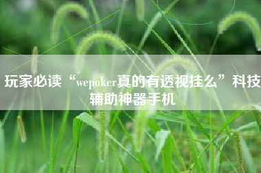 玩家必读“wepoker真的有透视挂么”科技辅助神器手机