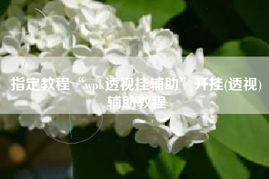 指定教程“wpk透视挂辅助”开挂(透视)辅助教程