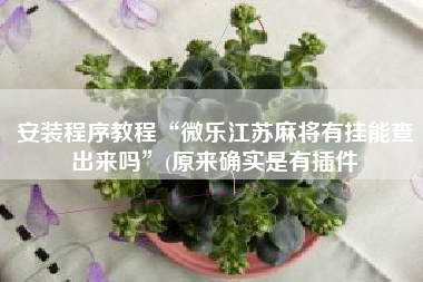 安装程序教程“微乐江苏麻将有挂能查出来吗”(原来确实是有插件