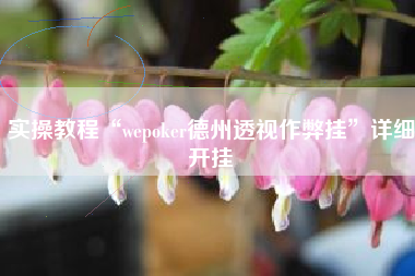 实操教程“wepoker德州透视作弊挂”详细开挂