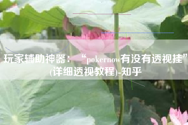 玩家辅助神器：“pokernow有没有透视挂”(详细透视教程)-知乎