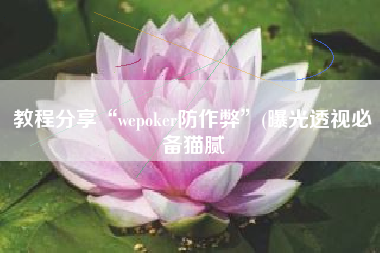 教程分享“wepoker防作弊	”(曝光透视必备猫腻