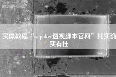实操教程“wepoker透视脚本官网”其实确实有挂