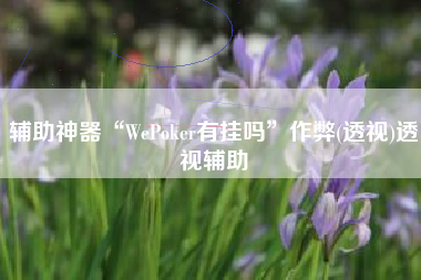 辅助神器“WePoker有挂吗”作弊(透视)透视辅助