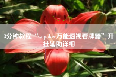 3分钟教程“wepoker万能透视看牌器”开挂辅助详细