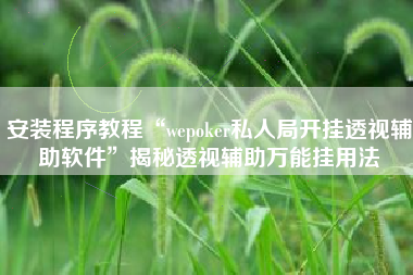 安装程序教程“wepoker私人局开挂透视辅助软件”揭秘透视辅助万能挂用法