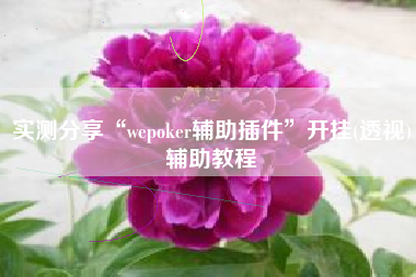 实测分享“wepoker辅助插件	”开挂(透视)辅助教程