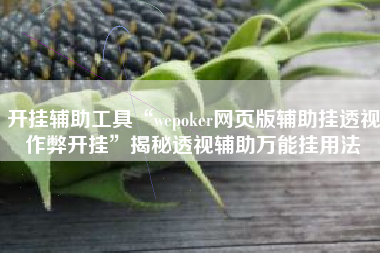 开挂辅助工具“wepoker网页版辅助挂透视作弊开挂”揭秘透视辅助万能挂用法