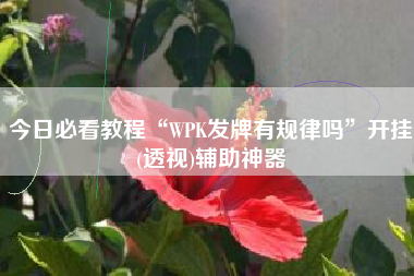 今日必看教程“WPK发牌有规律吗	”开挂(透视)辅助神器