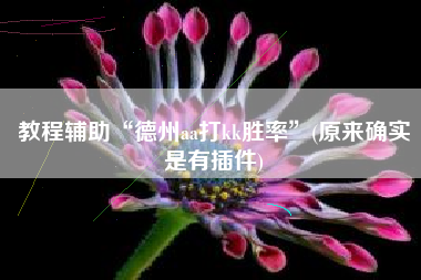 教程辅助“德州aa打kk胜率”(原来确实是有插件)