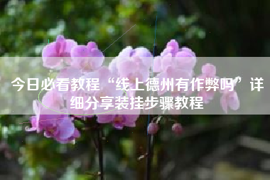 今日必看教程“线上德州有作弊吗	”详细分享装挂步骤教程