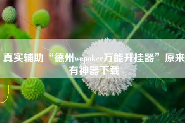 真实辅助“德州wepoker万能开挂器”原来有神器下载