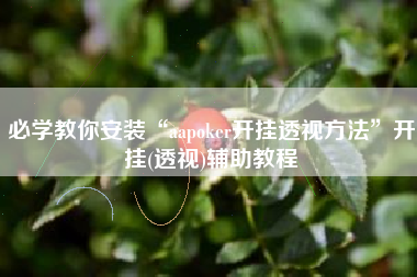 必学教你安装“aapoker开挂透视方法”开挂(透视)辅助教程