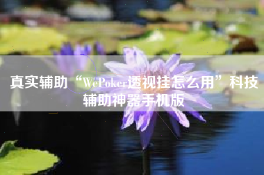 真实辅助“WePoker透视挂怎么用”科技辅助神器手机版