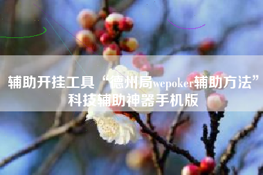 辅助开挂工具“德州局wepoker辅助方法”科技辅助神器手机版