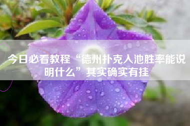 今日必看教程“德州扑克入池胜率能说明什么”其实确实有挂