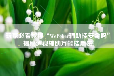 玩家必看教程“WePoker辅助挂安全吗	”揭秘透视辅助万能挂用法