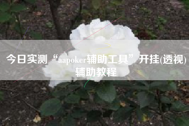 今日实测“aapoker辅助工具”开挂(透视)辅助教程