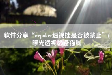 软件分享“wepoker透视挂是否被禁止”(曝光透视必备猫腻