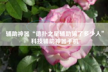 辅助神器“德扑之星辅助骗了多少人”科技辅助神器手机