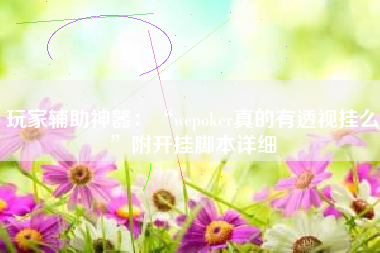 玩家辅助神器：“wepoker真的有透视挂么”附开挂脚本详细