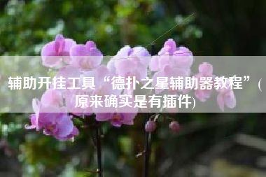 辅助开挂工具“德扑之星辅助器教程	”(原来确实是有插件)