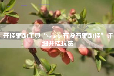 开挂辅助工具“wepoke有没有辅助挂”详细开挂玩法
