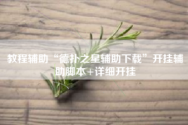 教程辅助“德扑之星辅助下载”开挂辅助脚本+详细开挂