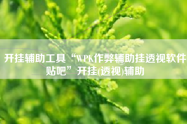 开挂辅助工具“WPK作弊辅助挂透视软件贴吧	”开挂(透视)辅助
