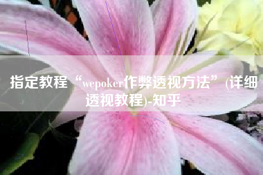 指定教程“wepoker作弊透视方法”(详细透视教程)-知乎