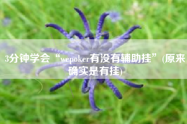 3分钟学会“wepoker有没有辅助挂”(原来确实是有挂)