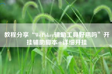 教程分享“WePoker辅助工具好用吗	”开挂辅助脚本+详细开挂