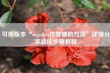 可用版本“wepoker作弊辅助方法”详细分享装挂步骤教程