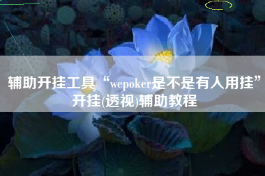 辅助开挂工具“wepoker是不是有人用挂”开挂(透视)辅助教程