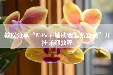 教程分享“WePoker辅助器怎么安装	”开挂详细教程