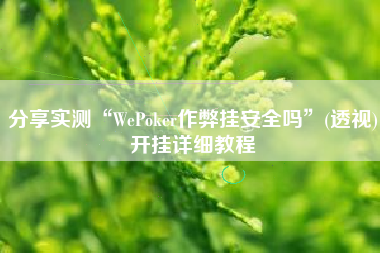 分享实测“WePoker作弊挂安全吗”(透视)开挂详细教程