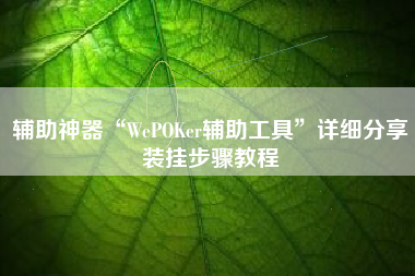 辅助神器“WePOKer辅助工具	”详细分享装挂步骤教程