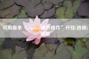 可用版本“wepoker辅助插件”开挂(透视)辅助
