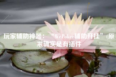 玩家辅助神器：“WePoker辅助开挂”(原来确实是有插件
