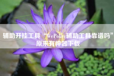 辅助开挂工具“WePoker辅助工具靠谱吗	”原来有神器下载