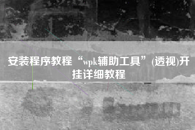 安装程序教程“wpk辅助工具”(透视)开挂详细教程