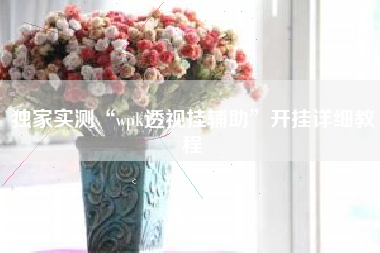 独家实测“wpk透视挂辅助”开挂详细教程