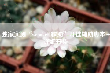 独家实测“wepoker 辅助	”开挂辅助脚本+详细开挂