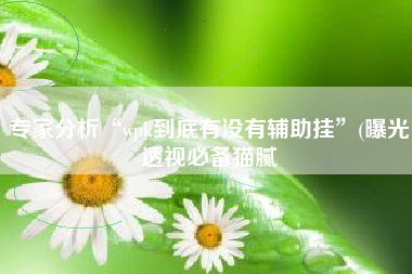 专家分析“wpk到底有没有辅助挂	”(曝光透视必备猫腻