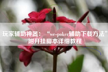 玩家辅助神器：“we-poker辅助下载方法”附开挂脚本详细教程