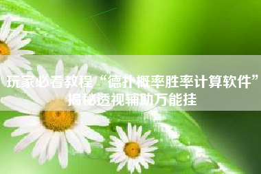 玩家必看教程“德扑概率胜率计算软件”揭秘透视辅助万能挂