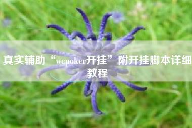 真实辅助“wepoker开挂	”附开挂脚本详细教程