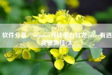 软件分享“wepoker开挂平台红龙poker有透视辅助挂(太