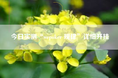 今日实测“wepoker 规律	”详细开挂
